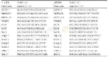 《表1 引物序列：METTL3对皮肤鳞状细胞癌细胞的增殖和分化的影响研究》