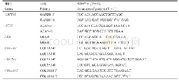 《表1 成软骨基因荧光定量PCR引物序列(根据参考文献[15]修改)》
