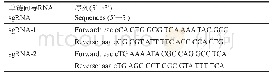 《表1 G6PD基因c.1388G&gt;A突变位点设计sgRNA序列》