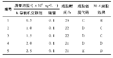 表2 不同质量浓度K型有机交联剂凝胶体系配方表