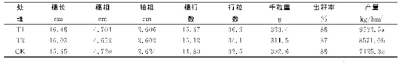 表2 玉米产量性状及产量调查结果