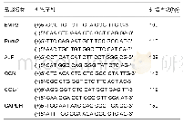 表1 各成骨相关基因引物序列