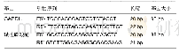 《表2 RT-PCR检测引物序列》