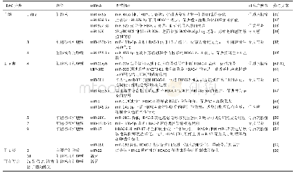 表2|mi RNA调节去组蛋白乙酰化酶(HDAC)治疗骨相关疾病