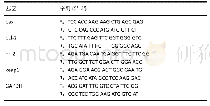 表1|q-PCR的相关引物序列