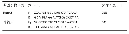《表1|RT-PCR引物序列》