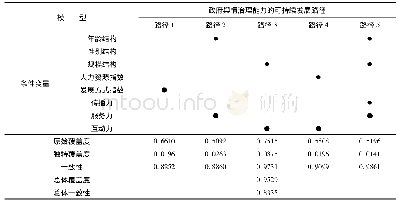 表5 政府舆情治理能力的可持续发展路径分析