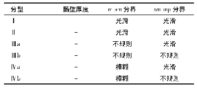 表2 Tsuga分型：超声内镜在炎症性肠病诊治中的应用价值及进展