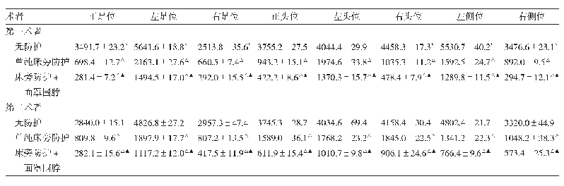 表3 两位模拟术者甲状腺在不同防护、不同投照位的体表入射剂量率比较（μGy/h)