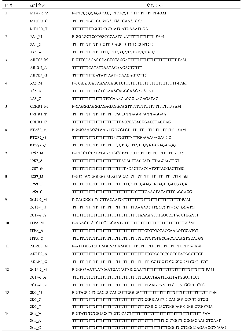 《表3 LDR探针序列：多重PCR-LDR法检测人体药物代谢酶基因位点多态性》