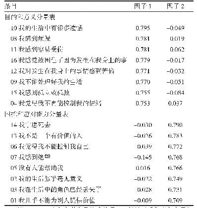 表2 中文版DS-II因子矩阵