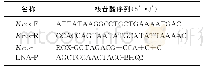 《表2 MCA-LNA体系所用引物和探针》