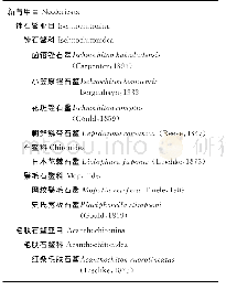 表2 舟山海域石鳖种类名录及系统分类