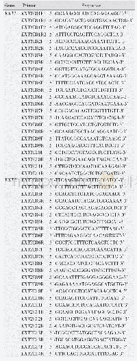 Table 1 Primers and sequence of EXT1 and EXT2 genes