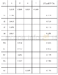 《表1 SWOT各因素的层次总排序》