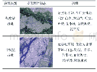 《表1 土壤盐渍化分级解译标志》