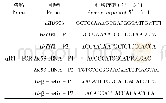 《表1 所用引物序列：盐胁迫下盐穗木miR393b与预测靶基因Hc TIR1的表达及相关性》