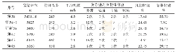 表1 英中地区2017～2019年完钻井指标统计