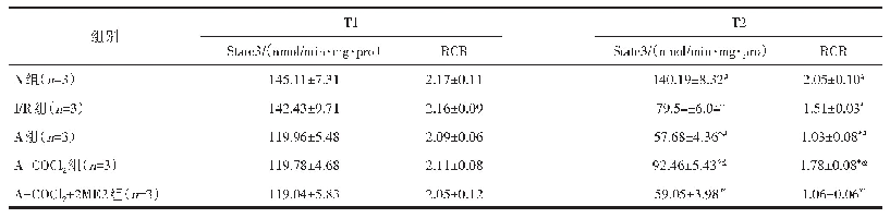 表3 线粒体呼吸功能：上调HIF-1对老龄大鼠心肌线粒体功能的影响