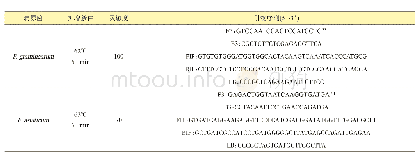 表1 LAMP-PCR技术体系、检测目标病原菌、灵敏度与引物序列