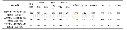 《表4 备择模型拟合指标及效应值对比》