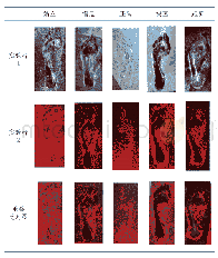 《表3 不同人（足长相近）五种状态下穿袜足迹抬痕形态特征图像效果比对表》