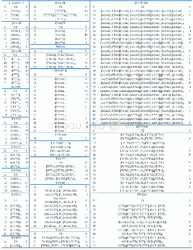 表1 中国云南苗族人群24个Y-STR基因座的核心序列（n=108)