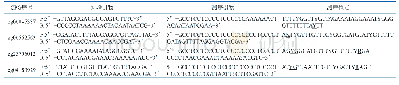 表1 各位点特异性扩增引物及测序引物
