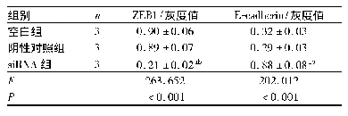 表3 3组Si Ha细胞内ZEB1、E-cadherin蛋白相对表达量比较