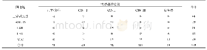 表2 阴道镜诊断结果分析(例)