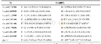 表1 荧光定量引物列表Tab.1 The primers of qRT-PCR used in this study
