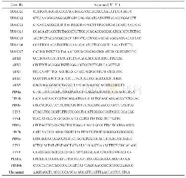 表1 用于qRT-PCR引物序列Tab.1 Primer sequence used for qRT-PCR