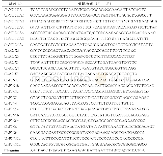 《表1 用于qRT-PCR引物序列》