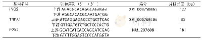表1 Primer 3设计合成的引物序列