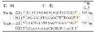 《表1 qRT-PCR引物序列》