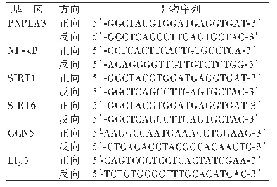 表1 RT-q PCR实验涉及的引物序列