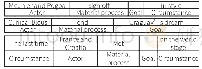 Table 2-2:Material process in 2018 World Cup news headlines