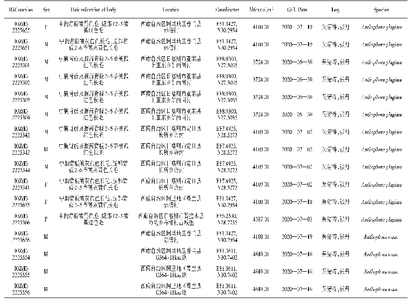表1 分子测序样本信息表