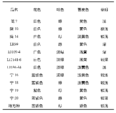 《表2 不同马铃薯种薯表型性状统计表》