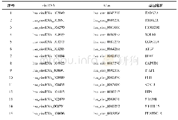 表1 15条差异表达的circRNA列表