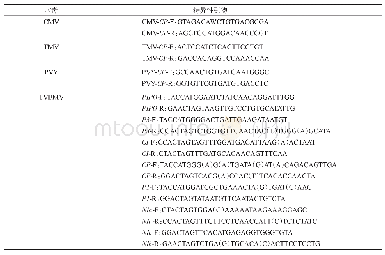 表1 各病毒的特异性引物序列