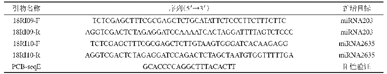 《表1 过表达载体构建引物》