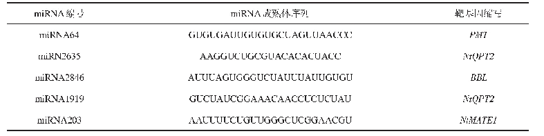 表3 烟碱相关miRNA及其潜在靶基因