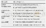 表2 甲基化特异性PCR所用引物