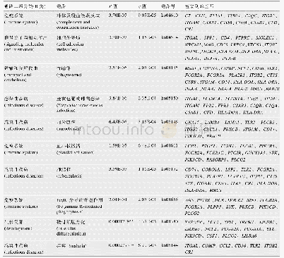 表3 差异m RNA的KEGG富集分析(置信度最高的前10条信号通路)