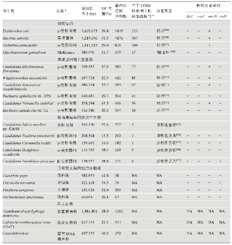 表1 具有代表性的细菌、共生生物、病毒和细胞器基因组的比较