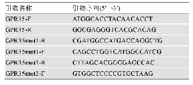 表1 GPR35野生型及突变型克隆引物序列
