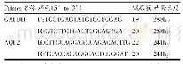 《表2 实时荧光定量PCR引物信息》