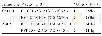 表2 实时荧光定量PCR引物信息