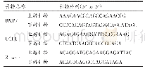 表2 目的基因的引物序列